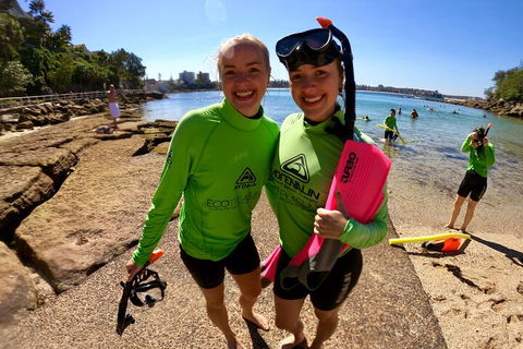 Manly Snorkel Trip And Nature Walk With Local Guide - Accommodation QLD 1
