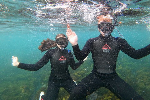Manly Snorkel Trip And Nature Walk With Local Guide - Accommodation QLD 3