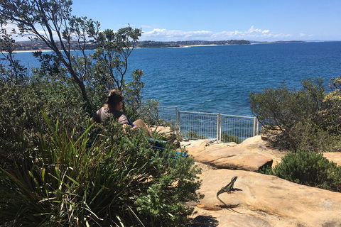 Manly Snorkel Trip And Nature Walk With Local Guide - Accommodation QLD 4
