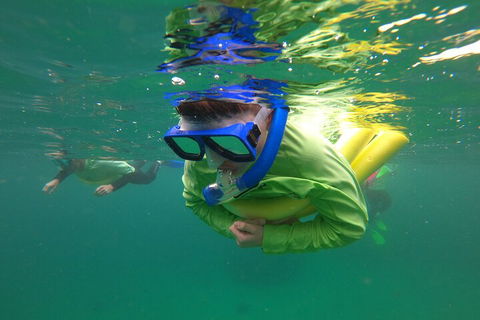 Manly Snorkel Trip And Nature Walk With Local Guide - Accommodation QLD 5