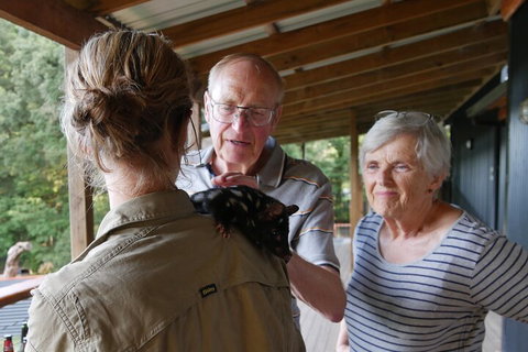 Sunset Experience - Accommodation QLD 1