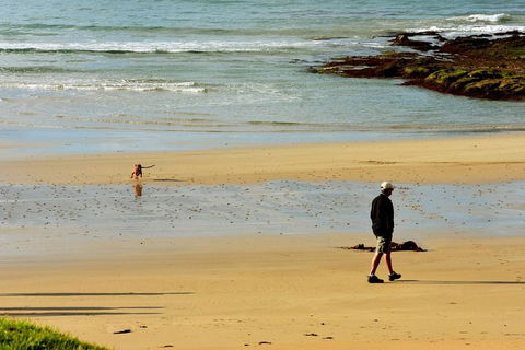 Ultimate Reverse Direction - 12 Apostles, Great Ocean Road - Small Group Tour - Accommodation QLD 1