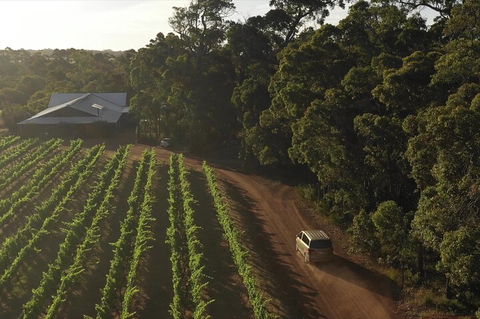 The All About Margaret River Tour: Wine, Coffee, Lunch And Forest - Accommodation QLD 1