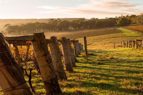 The All About Margaret River Tour: Wine, Coffee, Lunch And Forest - Accommodation QLD 5
