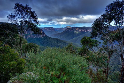 Ultimate Blue Mountains And Wildlife Tour - Accommodation QLD 1