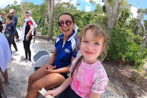 Whitehaven Beach Day Tour With Snorkel In Whitsundays Island - Accommodation QLD 1