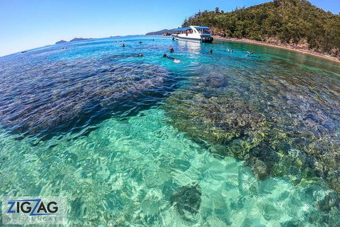Whitehaven Beach Day Tour With Snorkel In Whitsundays Island - Accommodation QLD 5