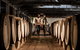 Barossa Ultimate Winery Experiences - thumb 3