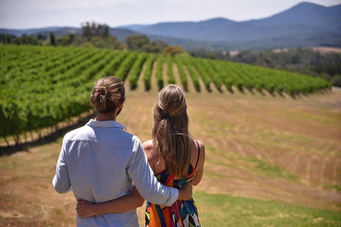 Yarra Valley Wine, Bubbles And Gin Tour! - Accommodation QLD 4