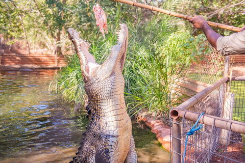Malcolm Douglas Crocodile Park Tour Including Transportation - Accommodation QLD 5