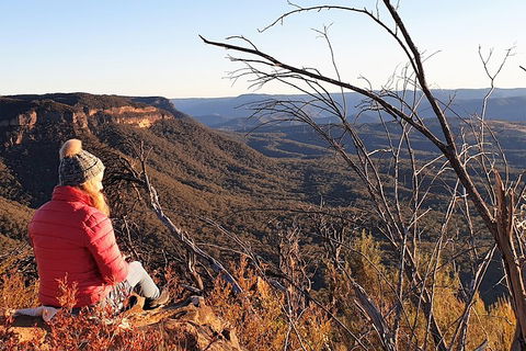 Ultimate Blue Mountains Waterfalls, Walks & Sunset PRIVATE Tour - Accommodation QLD 2