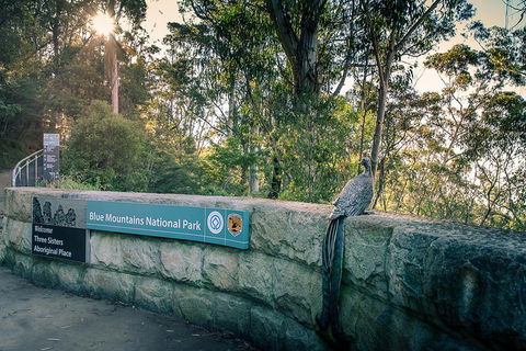 Ultimate Blue Mountains Waterfalls, Walks & Sunset PRIVATE Tour - Accommodation QLD 3