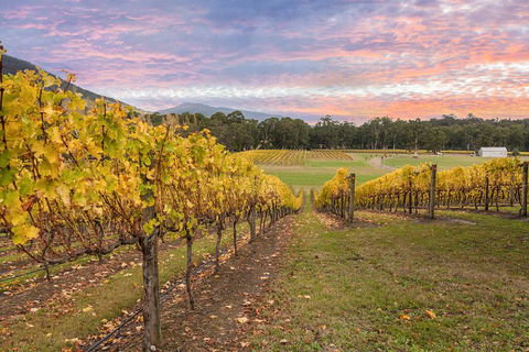 Yarra Valley Boutique Winery Tour From Melbourne - Accommodation QLD 3