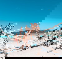 4 Day  3 Night Whitsunday Islands  Outer Reef Sailing Adventure on Condor - Accommodation QLD