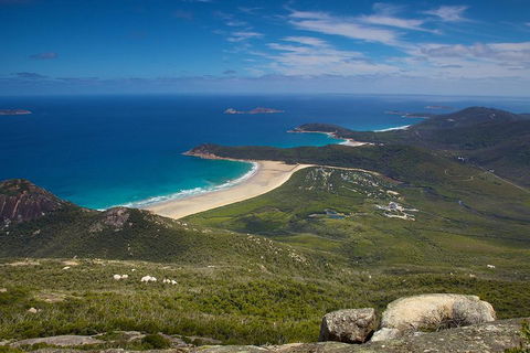 Wilson's Promontory & Phillip Island - 'Prom & Penguins' Tour - Accommodation QLD 0