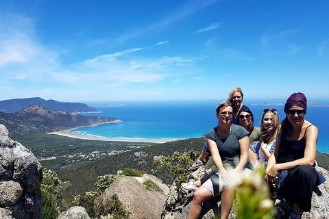 Wilson's Promontory & Phillip Island - 'Prom & Penguins' Tour - Accommodation QLD 1