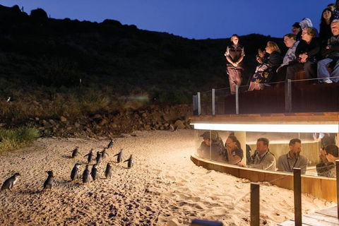 Wilson's Promontory & Phillip Island - 'Prom & Penguins' Tour - Accommodation QLD 3