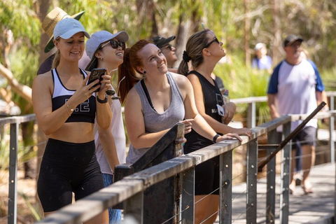 Cabaret Cave Yoga & Mindful Hike - Accommodation QLD 0