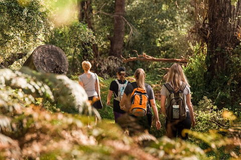 Cabaret Cave Yoga & Mindful Hike - Accommodation QLD 2
