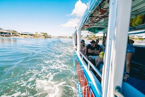 Aquaduck Sunshine Coast - Accommodation QLD 5