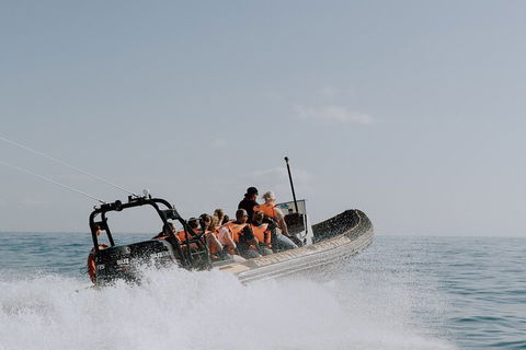 Adventure Rafting - Accommodation QLD 0