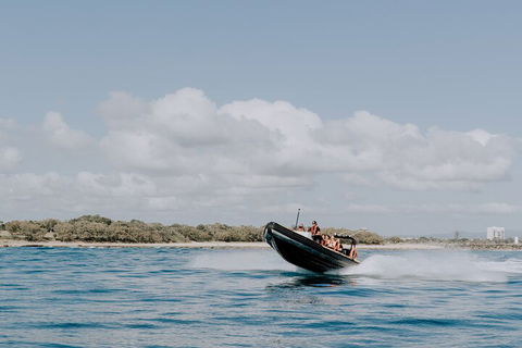 Adventure Rafting - Accommodation QLD 3