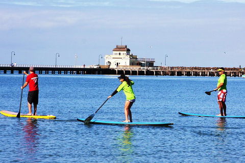 Private Stand-Up Paddle Board Lesson At St Kilda - Accommodation QLD 1