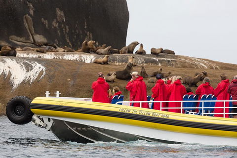 Wilsons Promontory Wilderness Cruise From Tidal River - Accommodation QLD 1