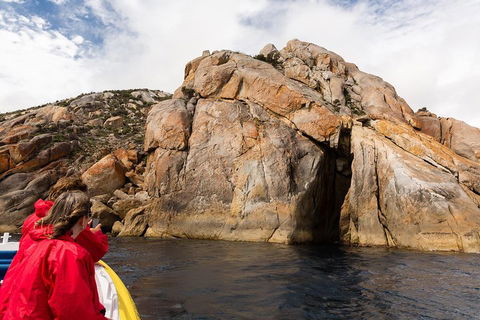 Wilsons Promontory Wilderness Cruise From Tidal River - Accommodation QLD 3