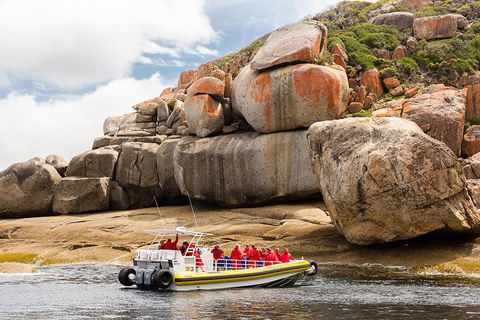 Wilsons Promontory Wilderness Cruise From Tidal River - Accommodation QLD 4