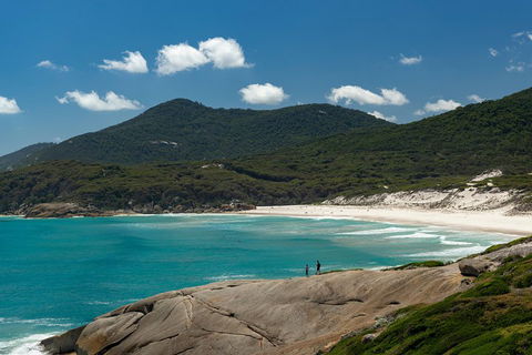 Wilsons Promontory Private 1 Day Tour - Accommodation QLD 5