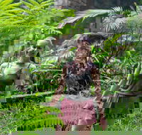 Full-Day Guided Hinterland Adventure Tour in Queensland - Accommodation QLD