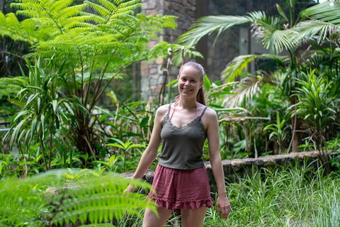 Full-Day Guided Hinterland Adventure Tour In Queensland - Accommodation QLD 0