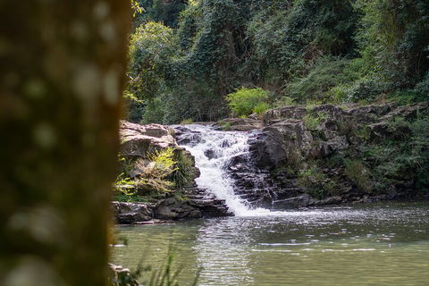 Full-Day Guided Hinterland Adventure Tour In Queensland - Accommodation QLD 1