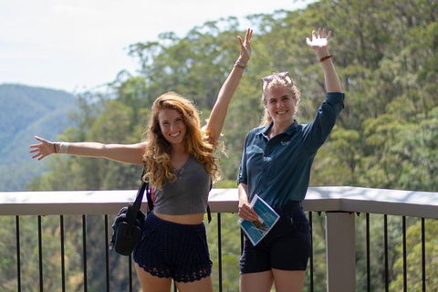 Full-Day Guided Hinterland Adventure Tour In Queensland - Accommodation QLD 3