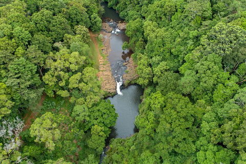 Full-Day Guided Hinterland Adventure Tour In Queensland - Accommodation QLD 4