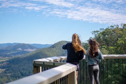 Full-Day Guided Hinterland Adventure Tour In Queensland - Accommodation QLD 5