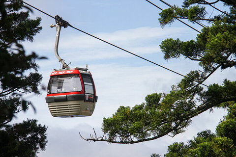 Sydney Taronga Zoo General Entry Ticket And Wild Australia Experience - Accommodation QLD 2