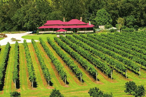 O'Reilly's & Lamington National Park From Gold Coast - Accommodation QLD 2