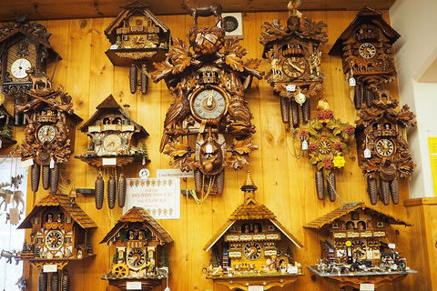 O'Reilly's & Lamington National Park From Gold Coast - Accommodation QLD 5