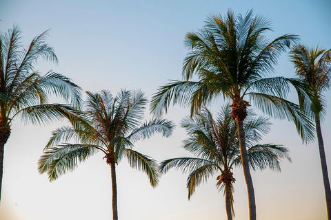 Darwin City Sightseeing Tour - Accommodation QLD 0