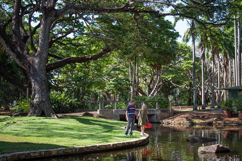 Darwin City Sights And Jumping Crocodile Cruise - Accommodation QLD 5