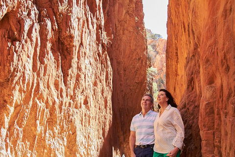 Best Of Alice Springs Full Day Tour - Accommodation QLD 4