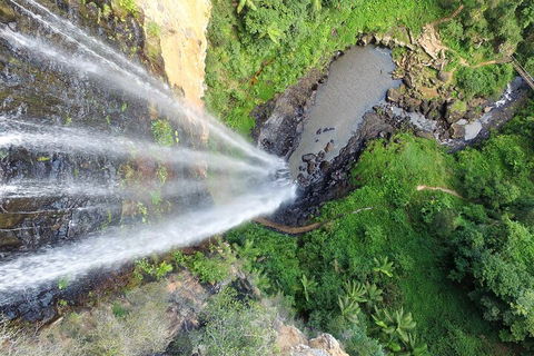 Natural Bridge & Springbrook Waterfalls Tour + Hot Air Balloon With Breakfast - Accommodation QLD 1