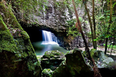 Natural Bridge & Springbrook Waterfalls Tour + Hot Air Balloon With Breakfast - Accommodation QLD 4