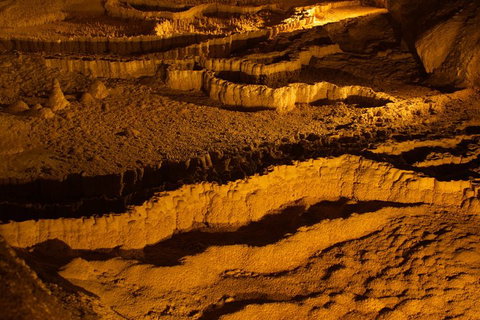 The Explorers' Discovery Tour - Gold, Wine & Wildlife - Accommodation QLD 0