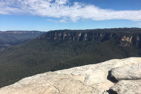 The Explorers' Discovery Tour - Gold, Wine & Wildlife - Accommodation QLD 1