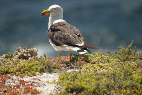 From The Mountains To The Bay - 4 Day Rediscovery Small Group Tour - Accommodation QLD 1