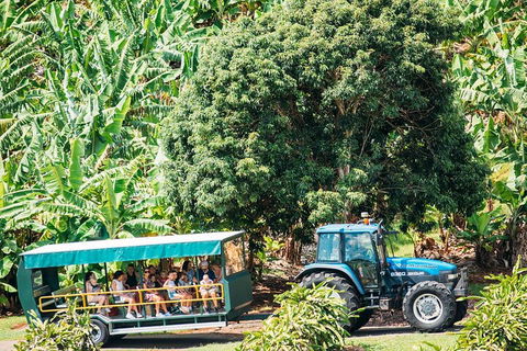 Northern Rivers Full Day Wine Tour - Accommodation QLD 1