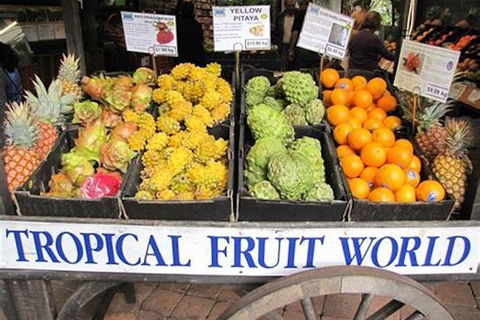 Northern Rivers Full Day Wine Tour - Accommodation QLD 3